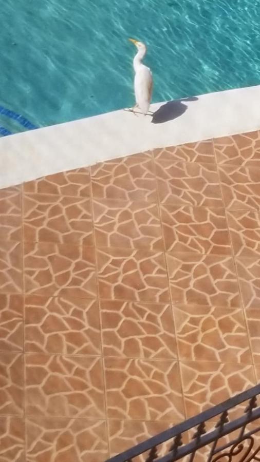 Chaudhry Holiday House Montego Bay Exterior foto